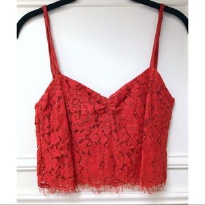 Zinke for Free People crop lace camisole bralette